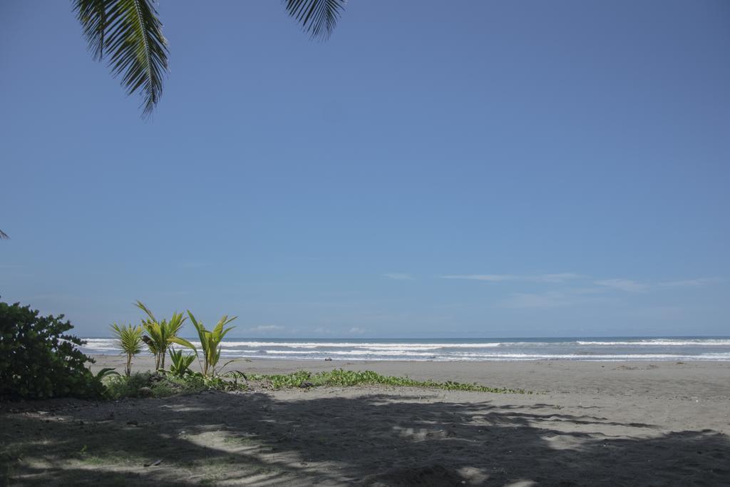 Pelican Beachfront Hotel Эстерильос-Эсте Экстерьер фото